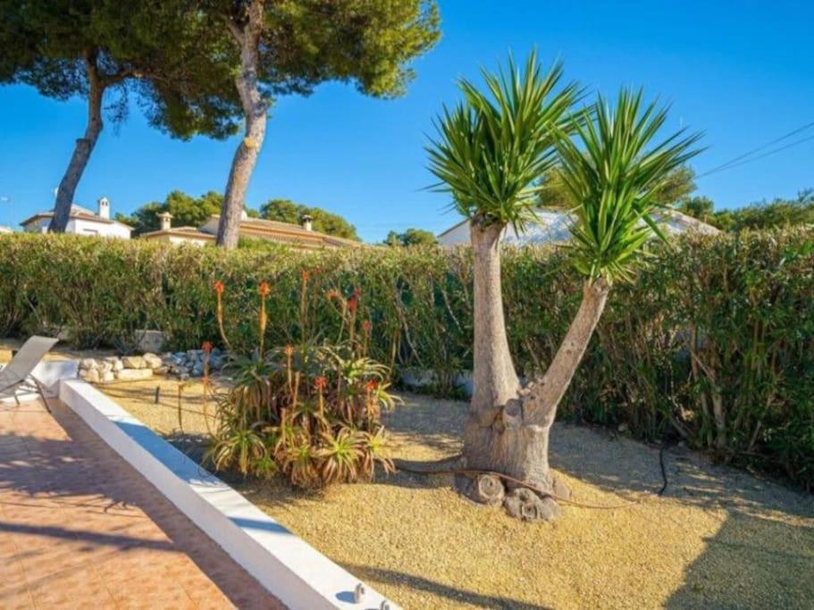 Casa Maria Granadella, Three Bedroom Villa With Private Pool 哈维亚 外观 照片